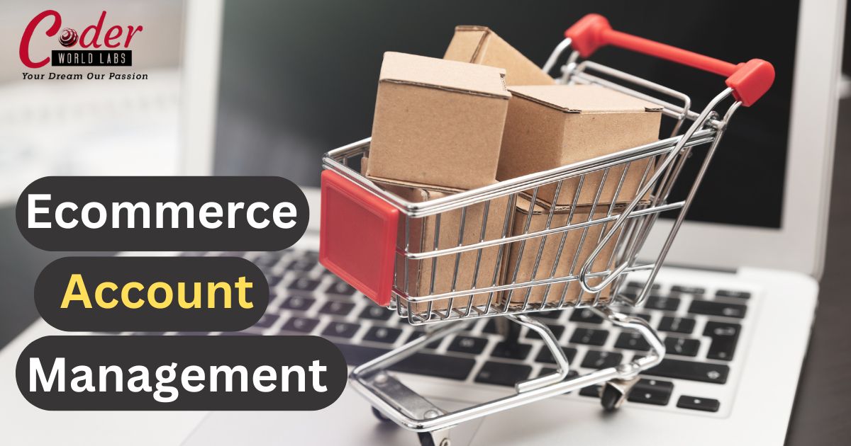 5 Key Strategies for E-Commerce Account Management Services in Delhi NCR